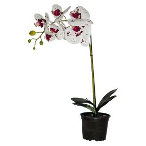 Sztuczny storczyk Premium w doniczce 70 cm mix kolorów 49762 Sztuczny storczyk Premium w doniczce 70 cm mix kolorów 49762