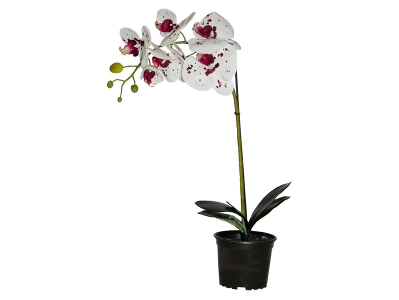 Sztuczny storczyk Premium w doniczce 70 cm mix kolorów 49762