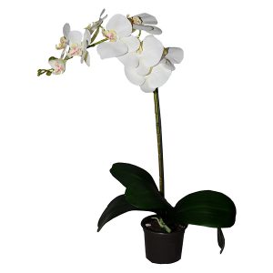 Sztuczny storczyk Premium w doniczce 80 cm biały 49760 Sztuczny storczyk Premium w doniczce 80 cm biały 49760