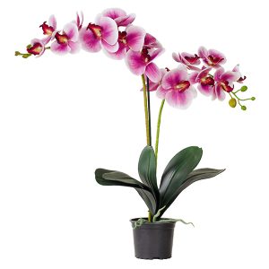 Sztuczny storczyk Premium w doniczce 80 cm różowy 49759 Sztuczny storczyk Premium w doniczce 80 cm różowy 49759