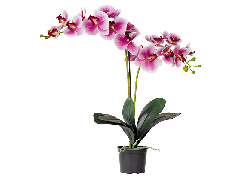 Sztuczny storczyk Premium w doniczce 80 cm różowy 49759