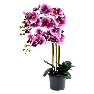 Sztuczny storczyk w doniczce 3 pędy 80 cm mix kolorów 49761 Sztuczny storczyk w doniczce 3 pędy 80 cm mix kolorów 49761