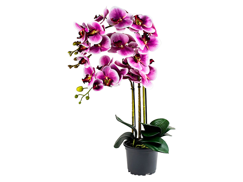 Sztuczny storczyk w doniczce 3 pędy 80 cm mix kolorów 49761
