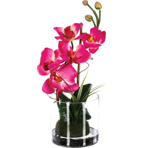 Sztuczny storczyk w szkle, 37 cm 81519
