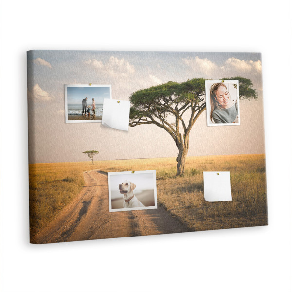 Tablica korkowa 100x70 cm organizer + pinezki Afryka 383944