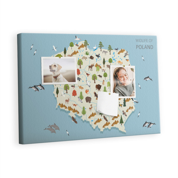 Tablica korkowa 60x40 cm do salonu + pinezki Polska 428770
