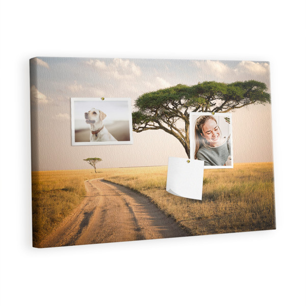 Tablica korkowa 60x40 cm organizer + pinezki Afryka 384023