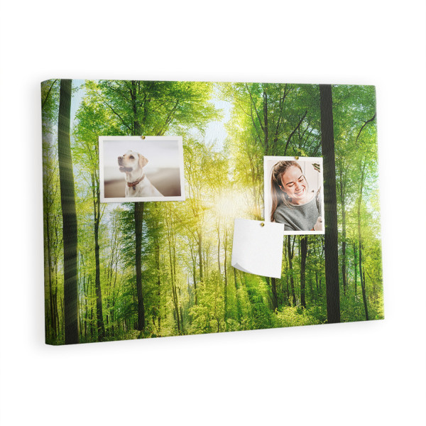 Tablica korkowa 60x40 cm organizer + pinezki Natura las 395519