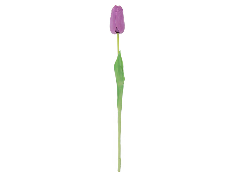 Tulipan pojedynczy 47 cm fioletowy 55225