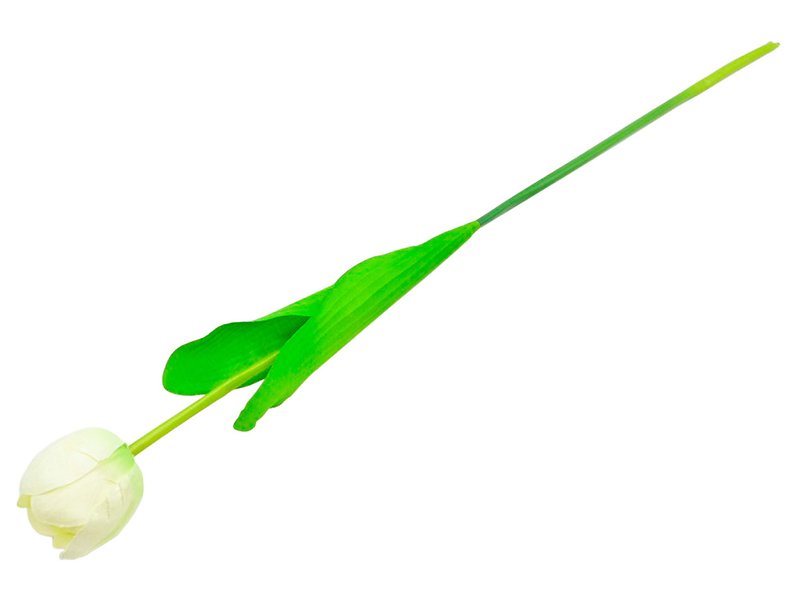 Tulipan pojedynczy 55 cm biały 474085