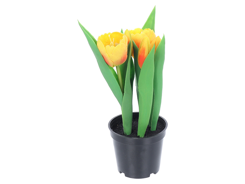 Tulipan w doniczce 24 cm pomarańczowy 55230