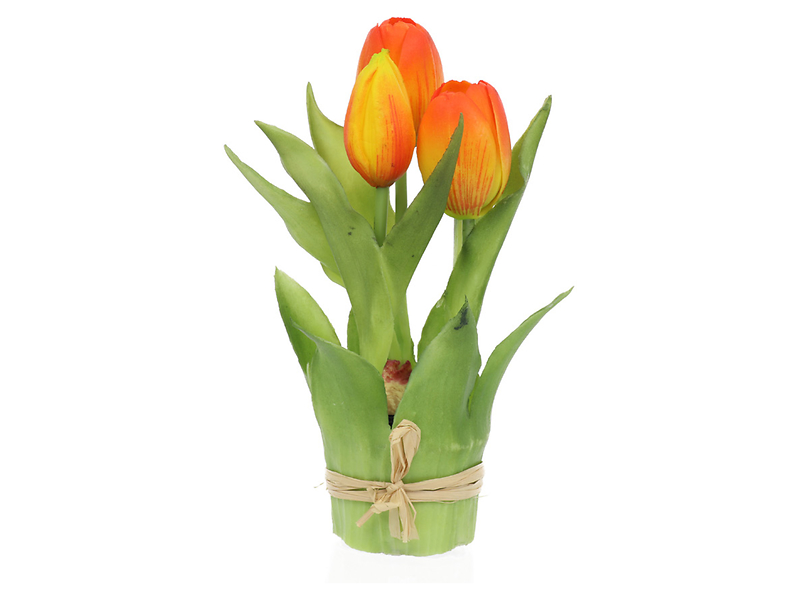 Tulipany w wiązce 20 cm 3 szt. gumowane pomarańczowe 189731
