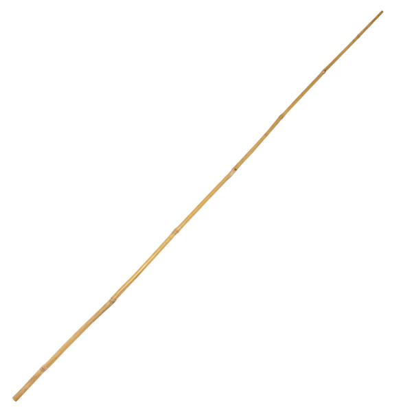 Tyczka Bambusowa 4iQ Group podpora do roślin 120cm 10-12mm zestaw 50szt. 576182