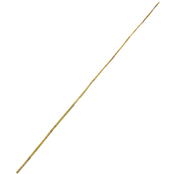Tyczka Bambusowa 4iQ Group podpora do roślin 180cm 12-14mm zestaw 25szt. 576179